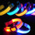 LED Pet Glow Dog Collar