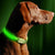 LED Pet Glow Dog Collar