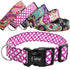 Wide Nylon Pet Dog Collar