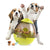 Interactive Food Dispensing Dog Toy