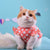 Summer Dress Pet Cloth