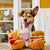 Hamburger Plush Dog Toy